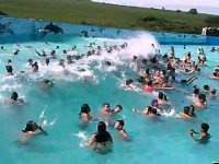 /album/rikana-estetica/hqdefault-jpg/